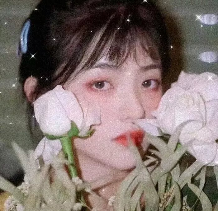 偷窥课程海报