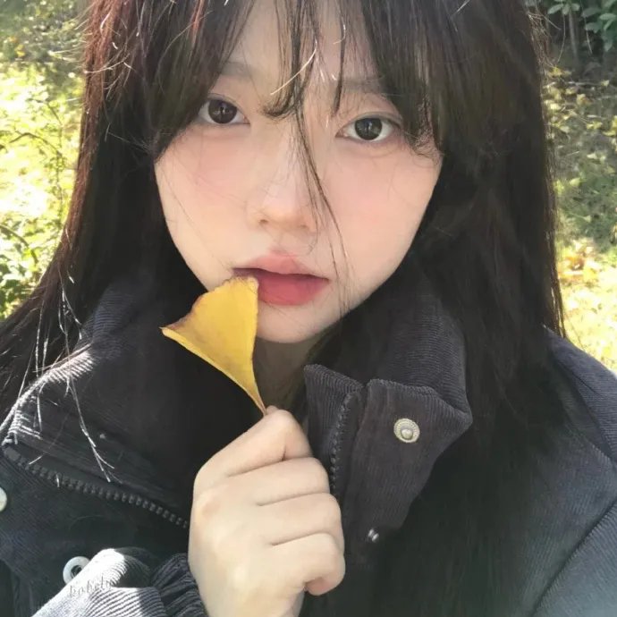 美丽梦相随海报