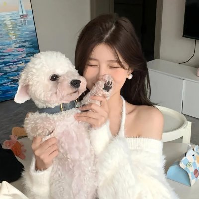 校影迷雾海报