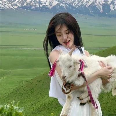 不死杀阵海报